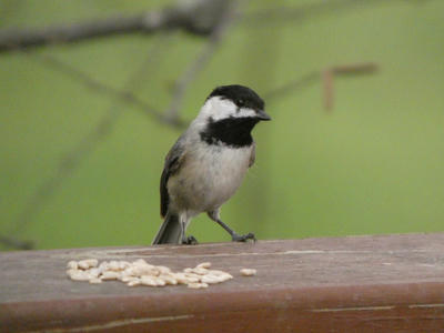 20260324_0014.jpg